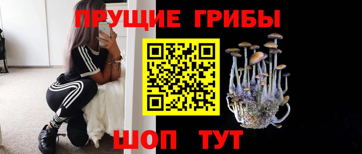 Псилоцибиновые грибы мицелий  Галлюциногенные грибы Magic Shrooms  Вход с VPN  Курчатов 
